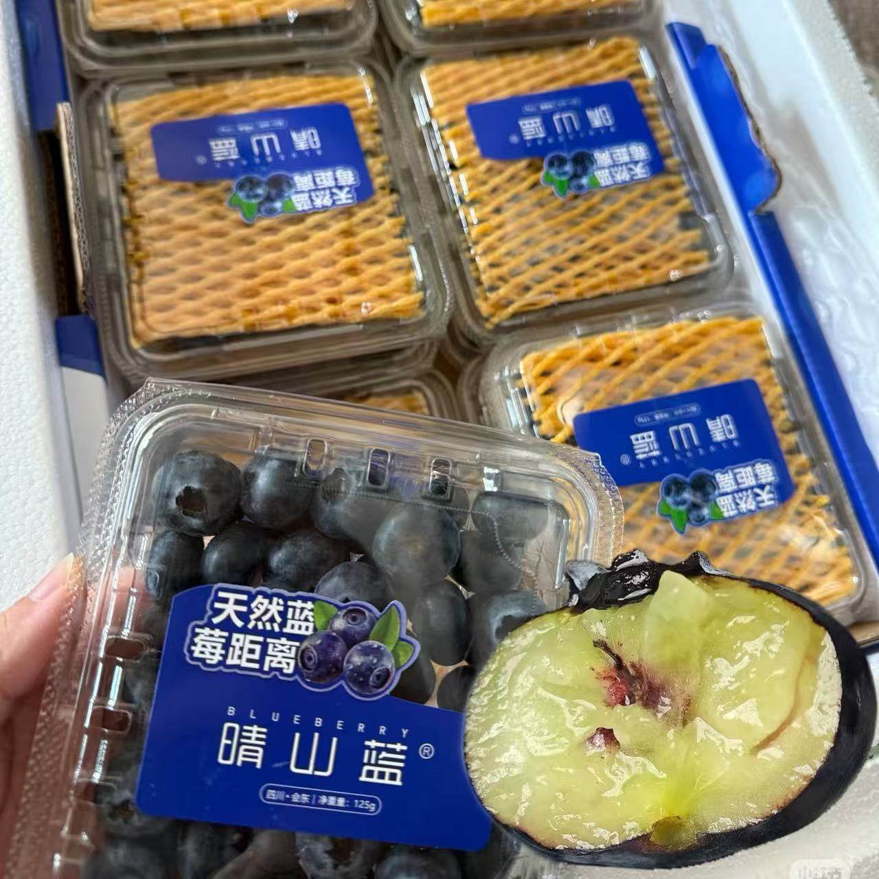 四川晴山蓝蓝莓高山会东花香蓝莓当季新鲜水果脆甜125g/盒发顺丰