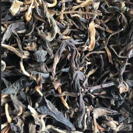 广东省南昆山毛茶正宗陈年百岁