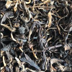 广东南昆深山正品毛茶陈年百岁茶可可茶高山毛尖茶250g散装无添加