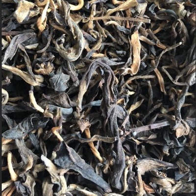 广东省南昆山毛茶正宗陈年百岁