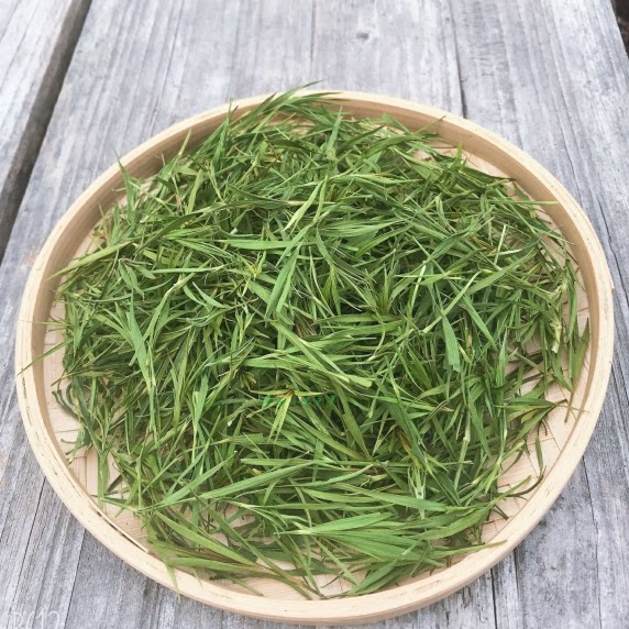 南昆深山野生石竹叶茶250g散装新鲜淡竹叶花茶自晒干无添加养生茶