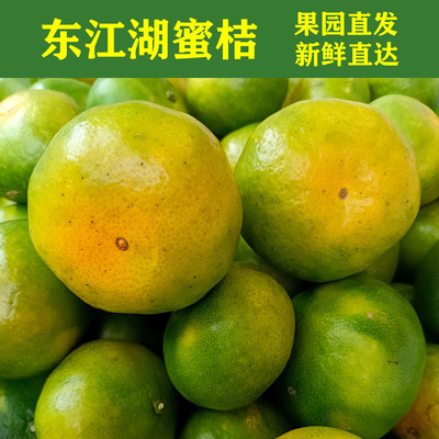 当季无籽果园直发清江柑橘东江湖