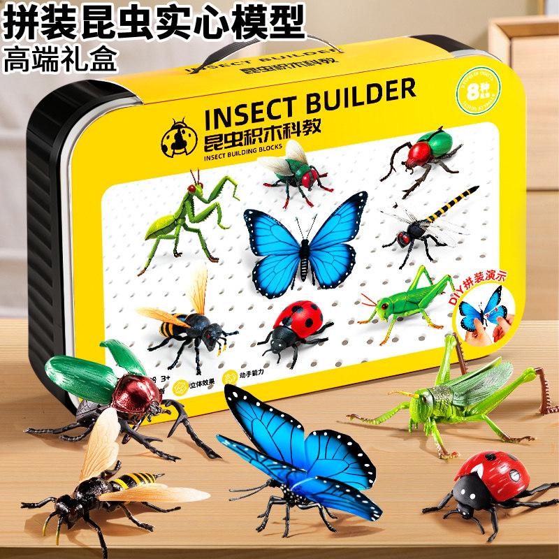 仿真4D拼装昆虫模型&早教认知