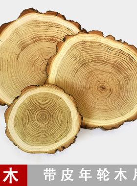 槐木树皮年轮木片 干原实木色手绘画装饰圆木片diy背景墙摄影道具