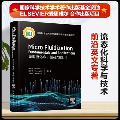 微型流化床 基础与应用 Micro fluidization: Fundamentals and Applications英文 微型流态化基本原理 流体力学特性 化工专业参考
