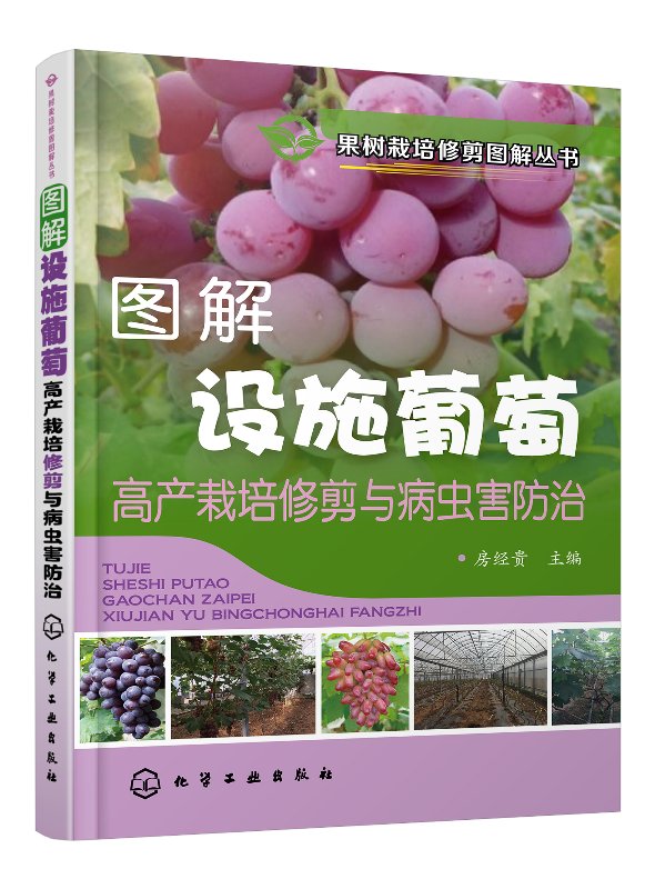 果树栽培修剪图解丛书--图解设施葡萄高产栽培修剪与病虫害防治 房经贵 化学工业出版社9787122320353