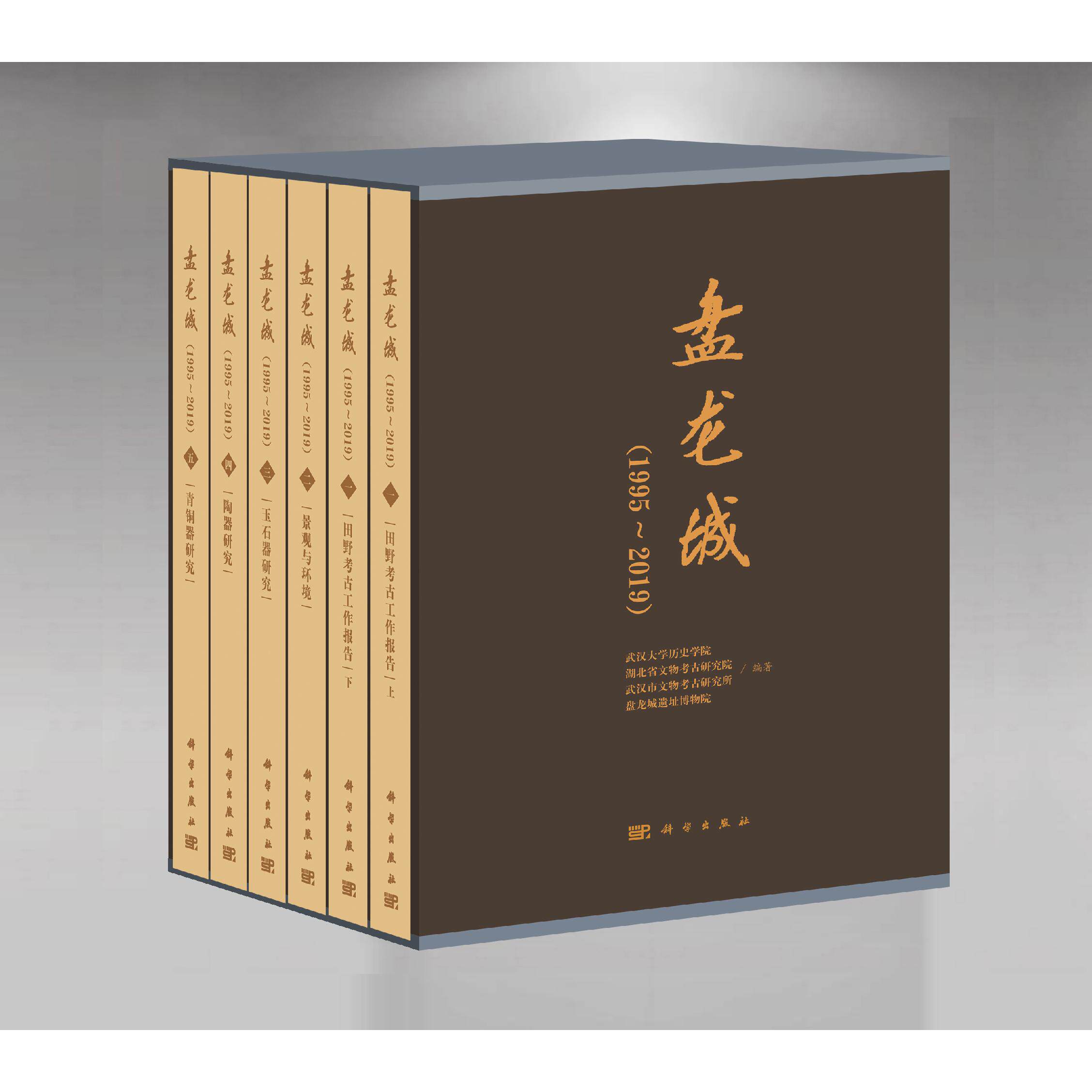 盘龙城(1995~2019)5卷 武汉大学历史学院 田野考古发掘报告陶器青铜器玉石器景观与环境研究 科学出版社 9787030798145