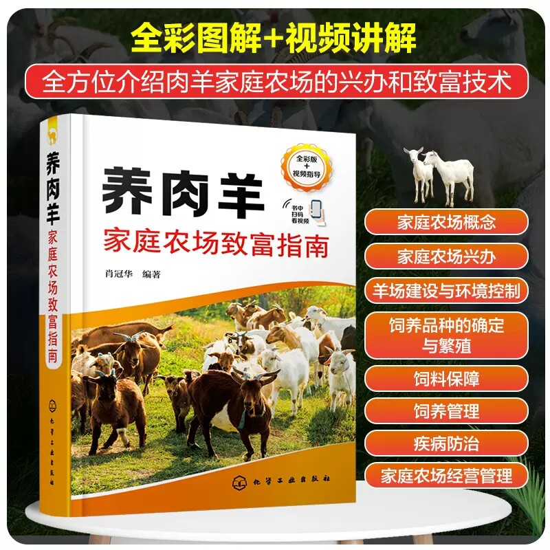 养肉羊家庭农场致富指南 肖冠华 肉羊养殖关键技术 肉羊场建设饲料管理 科学农场经营管理理念和方法 小型养肉羊企业或专业户参考