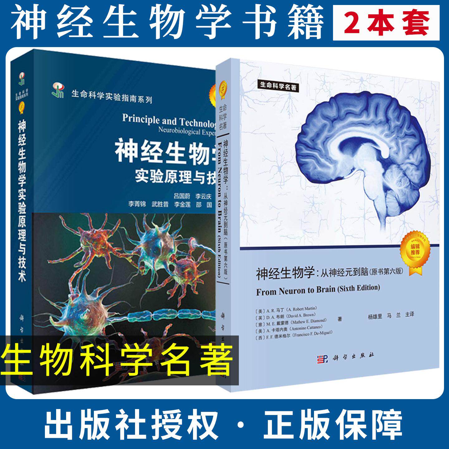 【全2册】神经生物学:从神经元到脑(原书第六版)神经生物学实验原理与技术第6版 尼克尔斯