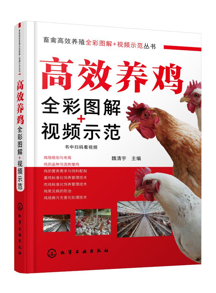 畜禽高效养殖全彩图解+视频示范丛书--高效养鸡全彩图解+视频示范  科学高效养鸡 养鸡技术 养鸡必备书籍 9787122394514