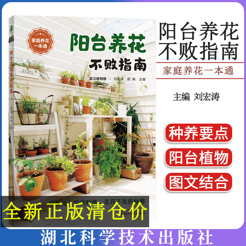 阳台养花不败指南 湖北科学技术出版社 9787570618699 刘宏涛 著
