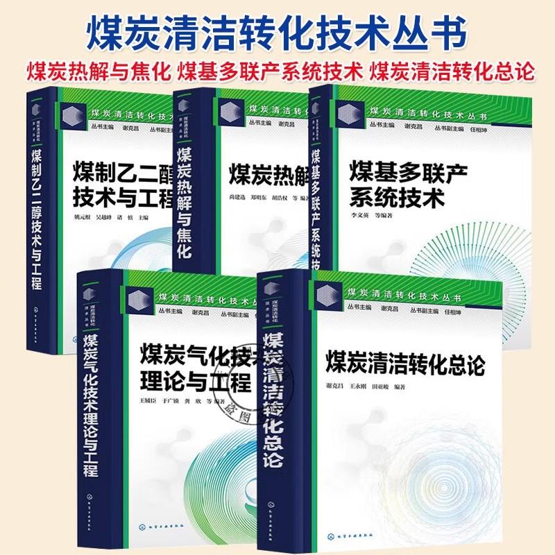 正版现货【全5册】煤炭清洁转化技术丛书--煤炭热解与焦化煤基多联产系统技术煤炭清洁转化总论 现代煤化工入门指南书籍
