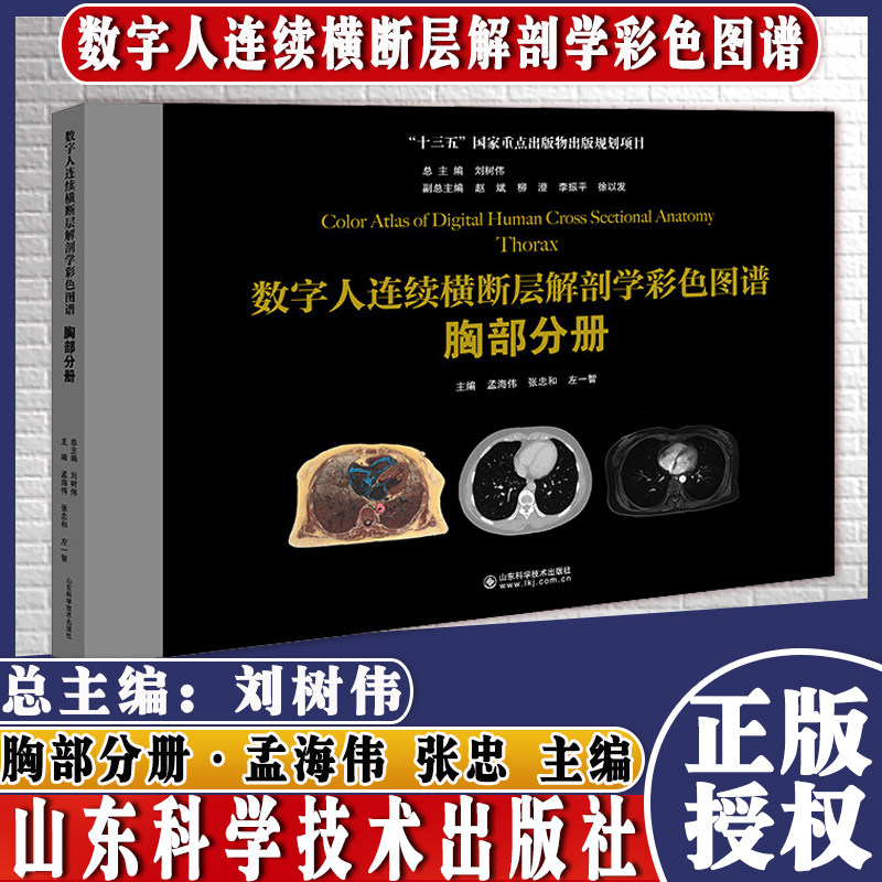 数字人连续横断层解剖学彩色图谱胸部分册山东科学技术出版社9787572306761孟海伟张忠和左一智主编