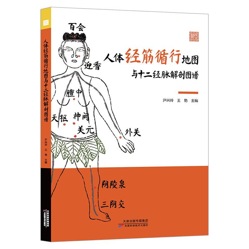 人体经筋循行地图与十二经脉解剖图谱 尹兴玲 王艳 主编天津科学技术出版社9787574234574