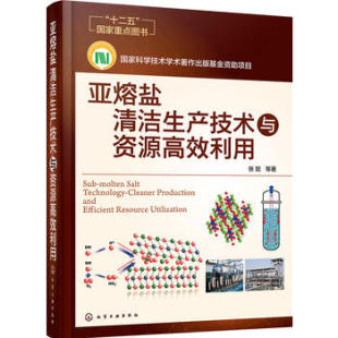 社9787122259400 化学工业出版 亚熔盐清洁生产技术与资源高效利用 张懿