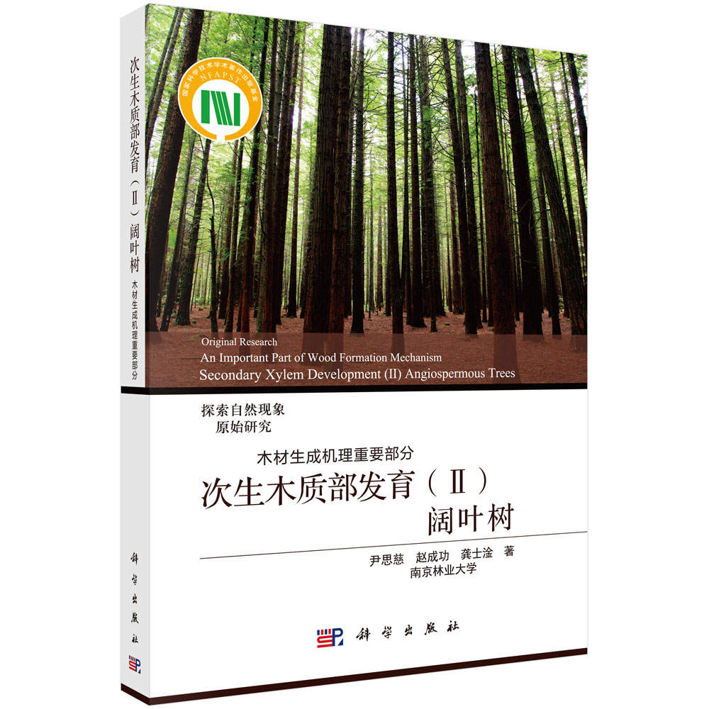 次生木质部发育(Ⅱ)阔叶树