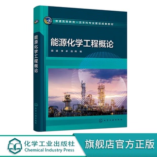 能源化学工程概论 田斌 煤炭利用技术 石油炼制与化工 天然气转化与利用 生物质转化与利用 高等院校能源化学工程等专业应用书籍