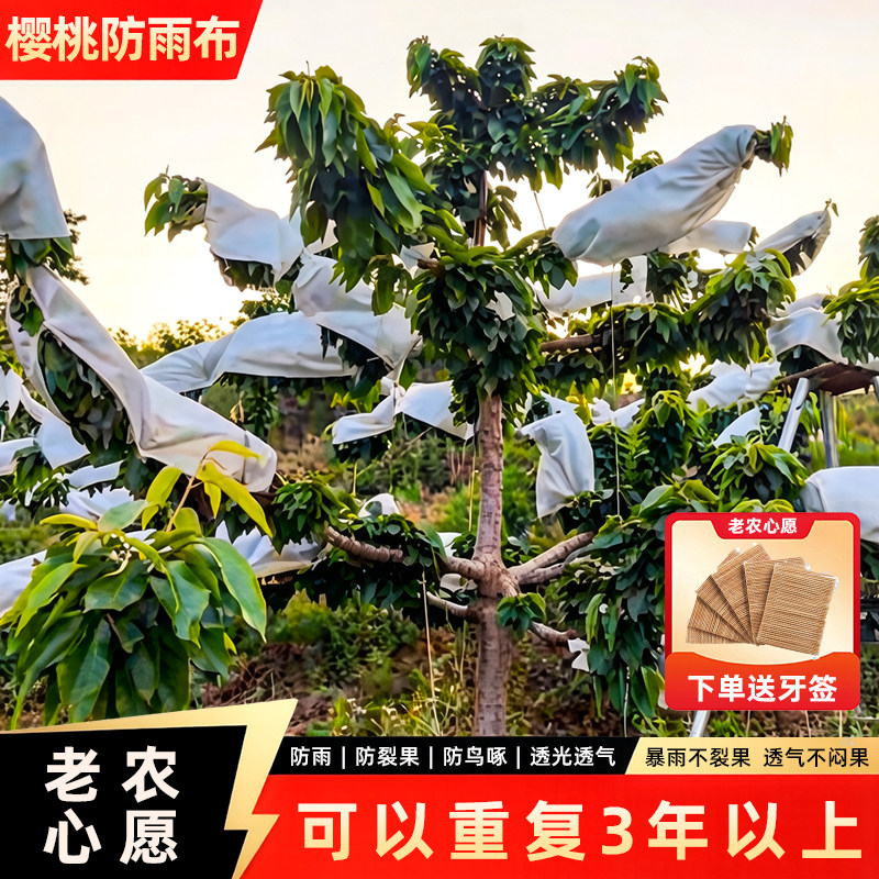老农心愿果树遮雨布大樱桃防雨防晒防日灼防鸟防风防裂果专用布