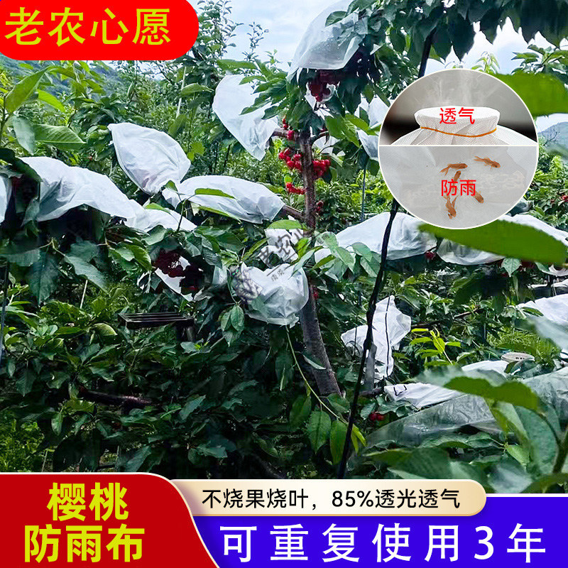 果树专用防雨布加厚防晒防裂防虫罩大樱桃李子枇杷树农用防水布