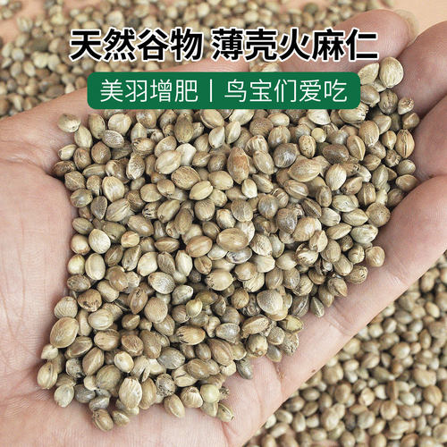 当季新货纸壳麻子小太阳鹦鹉鸟粮