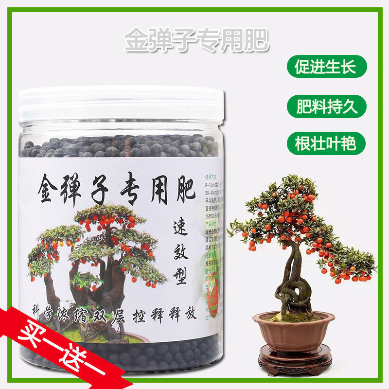 金弹子盆景老桩土壤有机肥料