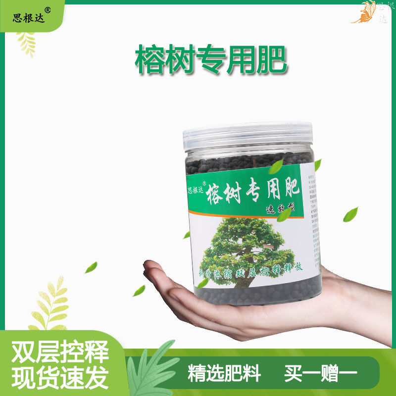 人参榕树专用有机盆景植物营养液