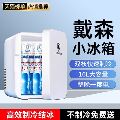 戴森小冰箱家用保鲜母乳化妆品