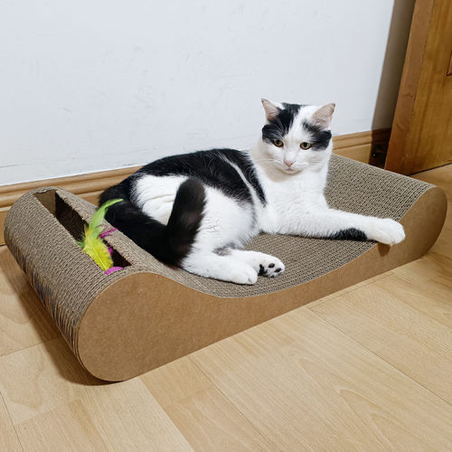 组合装猫抓板多功能不易掉屑耐磨瓦楞纸猫玩具宠物用品猫抓板