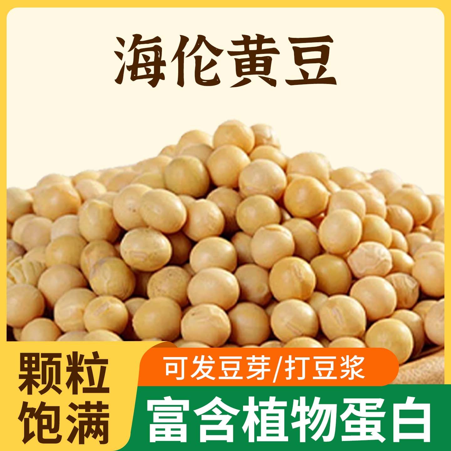 东北黄豆打豆浆专用农家自种大豆老品种干土小黄豆打豆浆豆