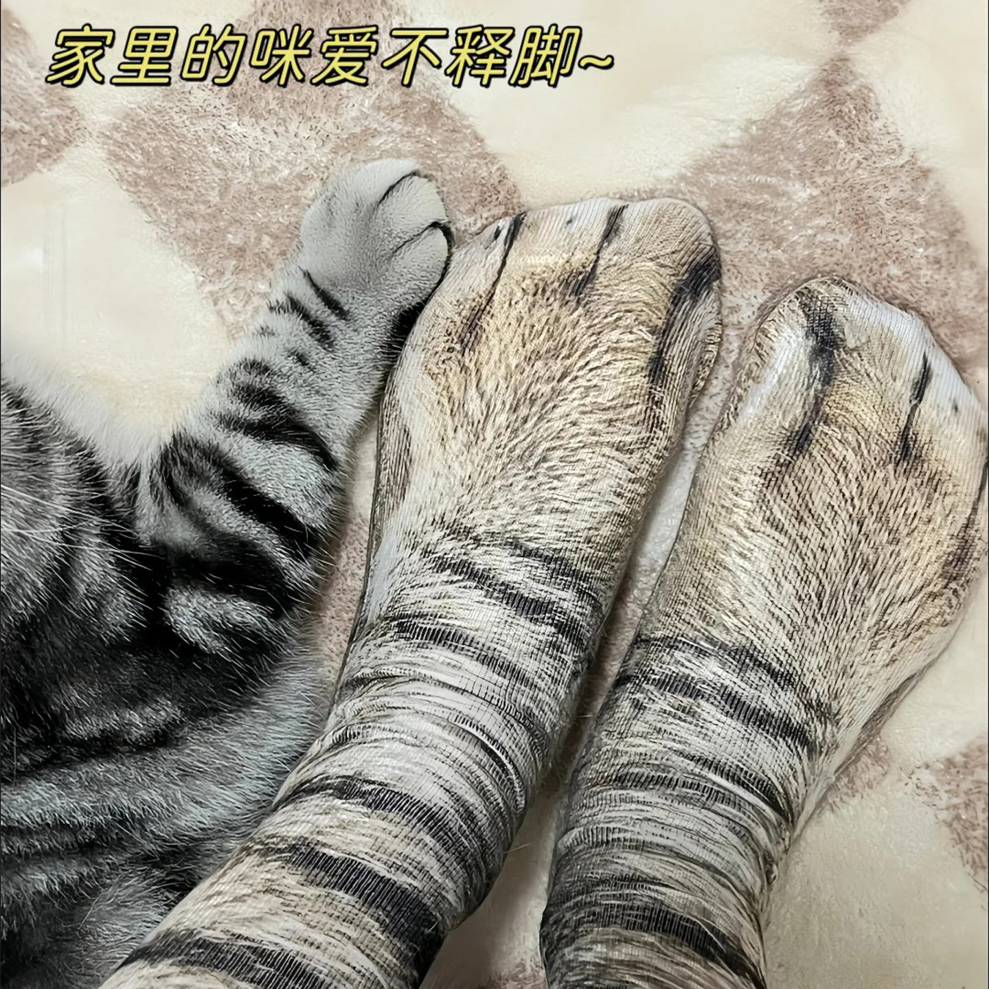 创意搞怪3D狗爪猫爪袜抽象动物印花情侣袜个性整蛊男女潮流素材袜
