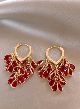 Doro朵兰の独特红色水晶流苏耳环女2025年新款轻奢高级感气质耳钉