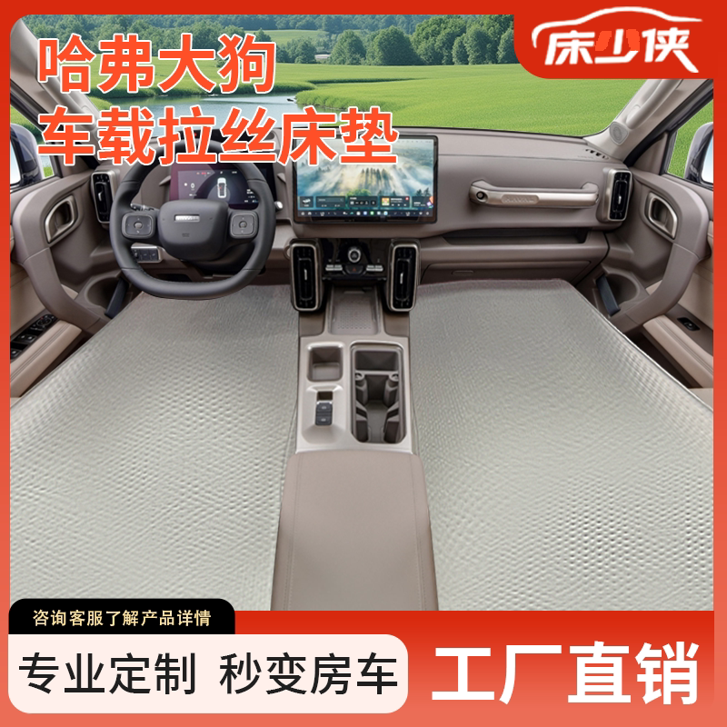 适用于哈弗大狗PLUS前排车载拉丝充气床垫旅行床气垫床后排睡垫