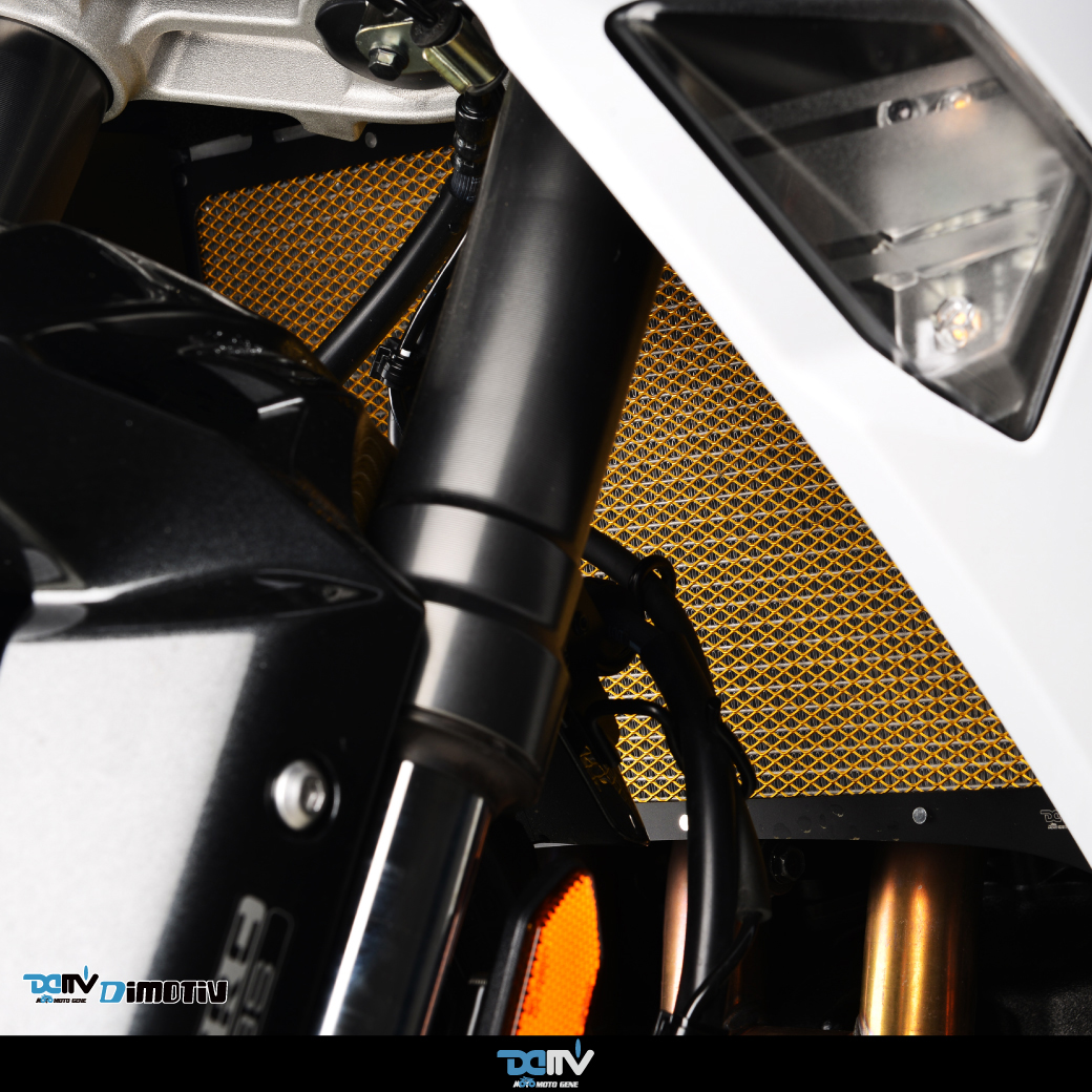 DIMOTIV KAWASAKI 川崎 NINJA 1000SX 基本款散热水箱护网 DMV