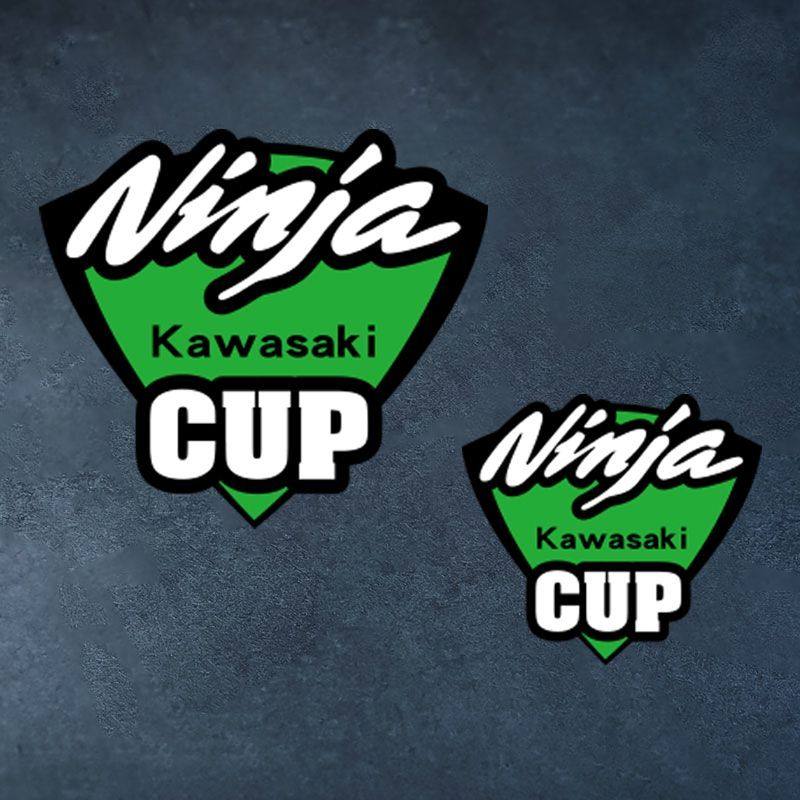 忍者杯ZX10R 6R Ninja 650 400 250小忍者改装贴纸防水反光贴花