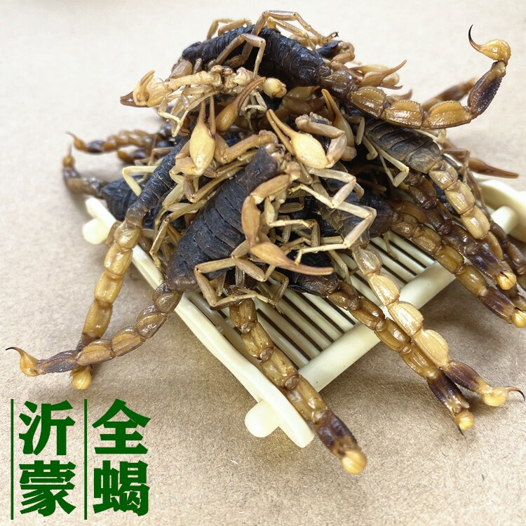 沂蒙蝎子干蜈蚣干水蛭泡酒打粉煲蝎类