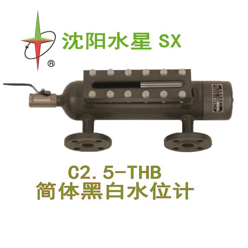 沈阳水星水位计简体式黑白