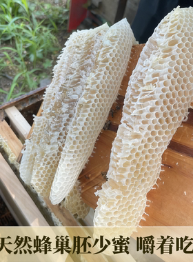 天然蜂巢胚子少少蜜蜂巢坯