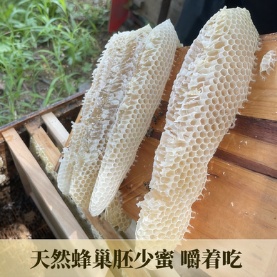 天然蜂巢胚子少少蜜蜂巢坯