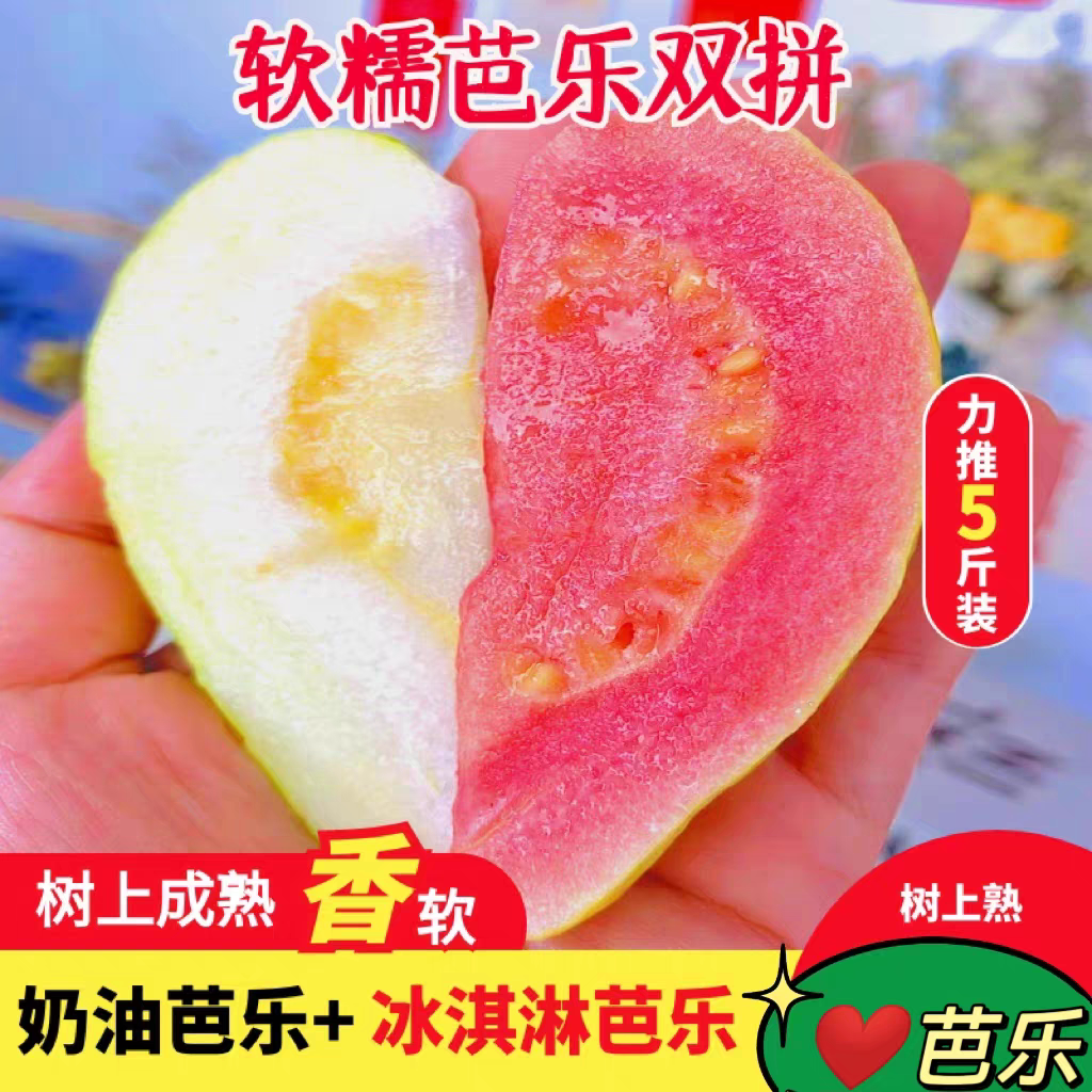 福建软心芭乐应季水果野生番石榴香甜软糯低糖孕妇小孩水果送酸梅