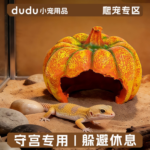 爬宠躲避屋造景躲避守宫蜥蜴宠物蛇角蛙洞穴躲避沙漠宠物躲避屋