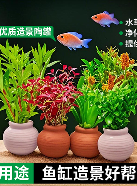 鱼缸陶罐多用途固定水草鱼缸造景装饰摆件鱼虾躲避屋水草用定植杯