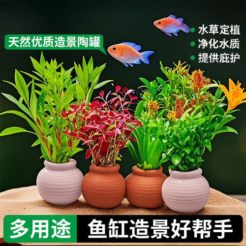 鱼缸陶罐多用途固定水草鱼缸造景
