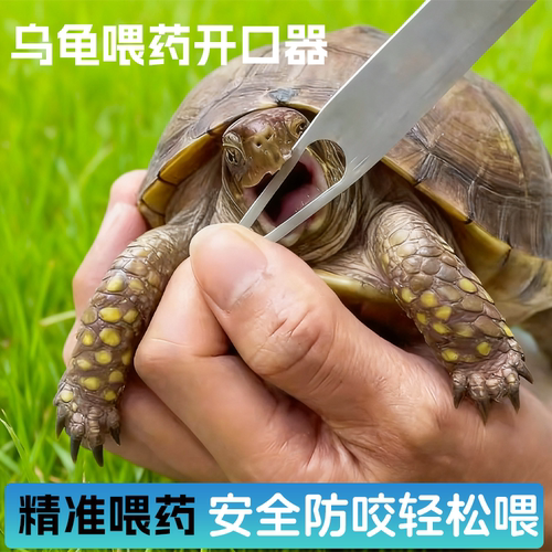 爬宠乌龟开口器乌龟开口器黄缘龟箱龟灌药器拒食不开食喂食器