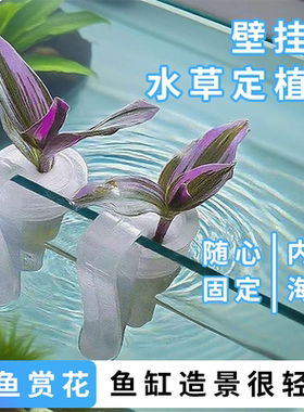 水草定植环鱼缸定植固根器水培器皿壁挂鱼缸造景装饰水培定植海绵