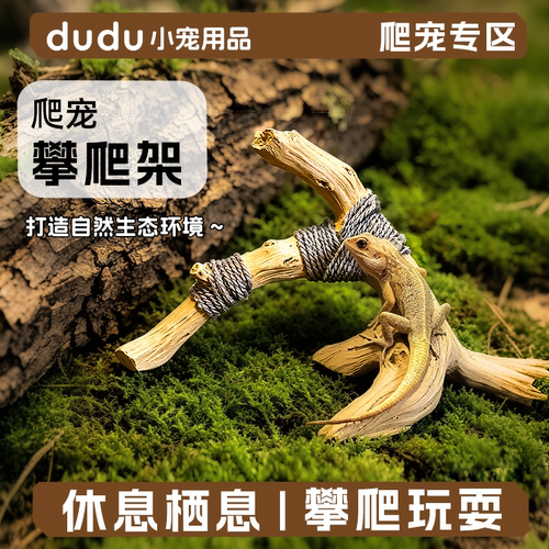 攀爬木爬虫饲养缸仿真树木造景攀爬木架鬃狮蜥蜴宠物蛇躲避树枝叉