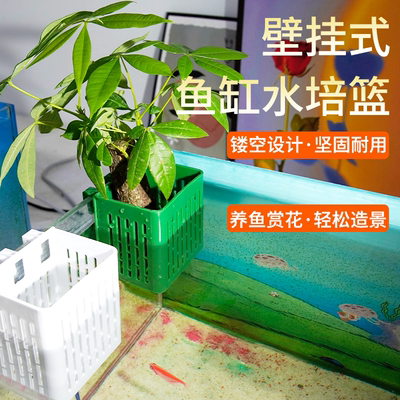 鱼缸水培定植篮家用壁挂式种植杯绿萝固定神器造景装饰水培固定篮