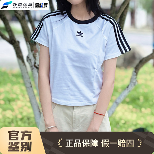 阿迪达斯女短袖纯棉运动休闲半袖