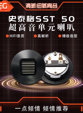 意大利STEG史泰格喇叭SST 50高音车载扬声器汽车音响改装包安装