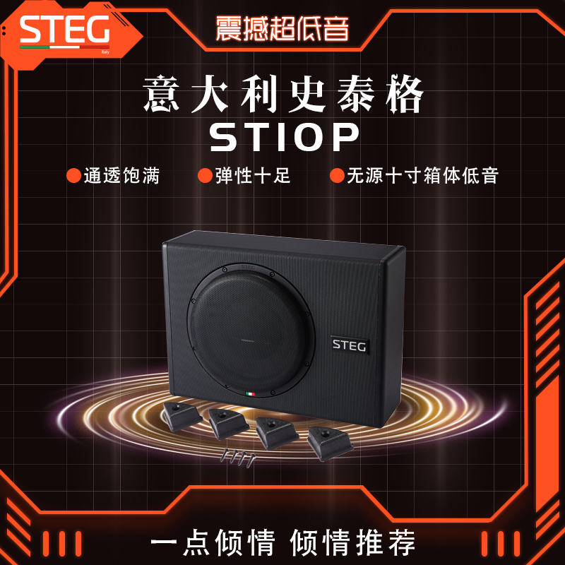 超重低音炮喇叭STEG带箱体