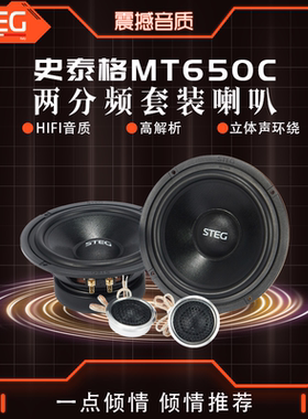 意大利STEG史泰格MT650C喇叭二分频套装车载扬声器汽车音响改装